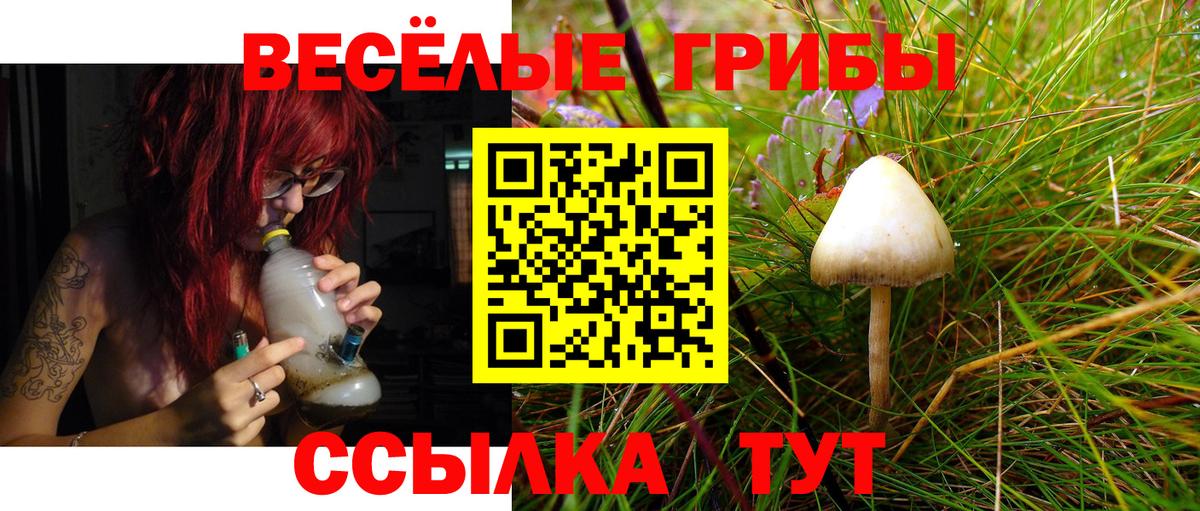 Галлюциногенные грибы прущие грибы  Вход с VPN  где найти наркотики  Зеленодольск 